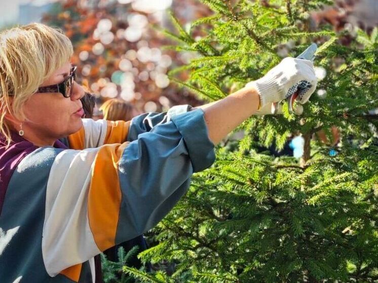 Мастер-класс для садоводов: абаканцев научили подстригать кустарники