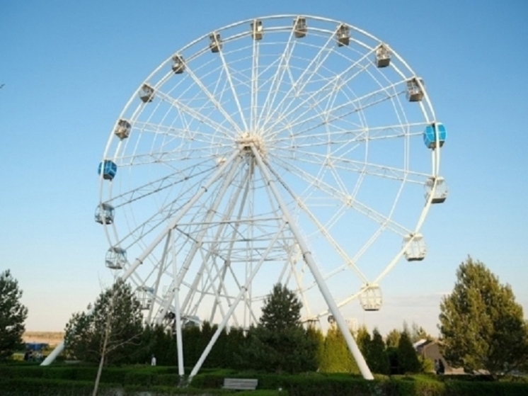 В ЦПКиО Волгограда хвойные деревья спасают от вредителей