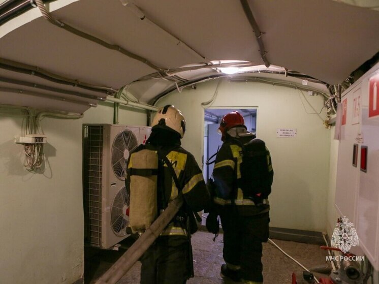 Пожарные тушили придуманный пожар в резиденции ЗакСа Петербурга