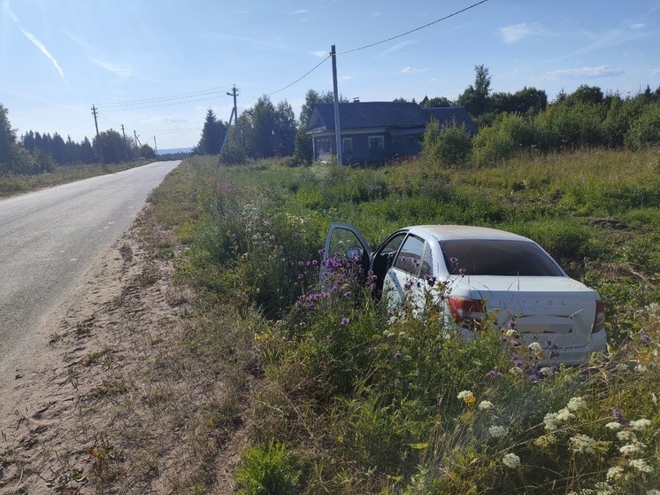 Трехлетний мальчик получил травмы в ДТП в Великоустюгском округе