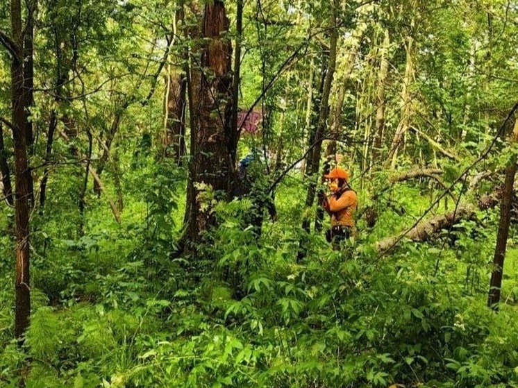 Как бурятские добровольцы «ЛизаАлерт» спасли мужчину в Подмосковье