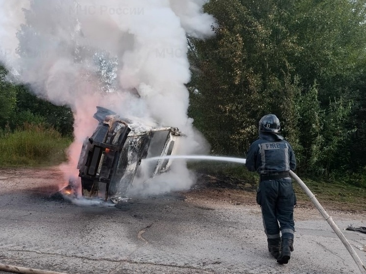 На окраине калужской деревни вспыхнул пожар