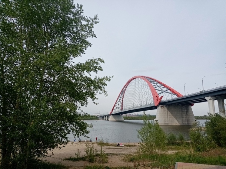 Парня и девушку спасли на Бугринской косе в Новосибирске