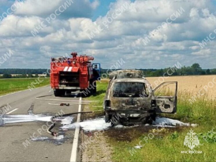 Около брянского поселка Локоть сгорел автомобиль