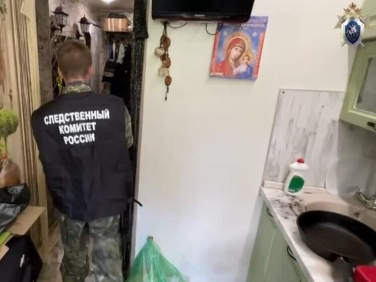 Супружескую пару и их знакомого нашли мертвыми в одной из петербургских квартир