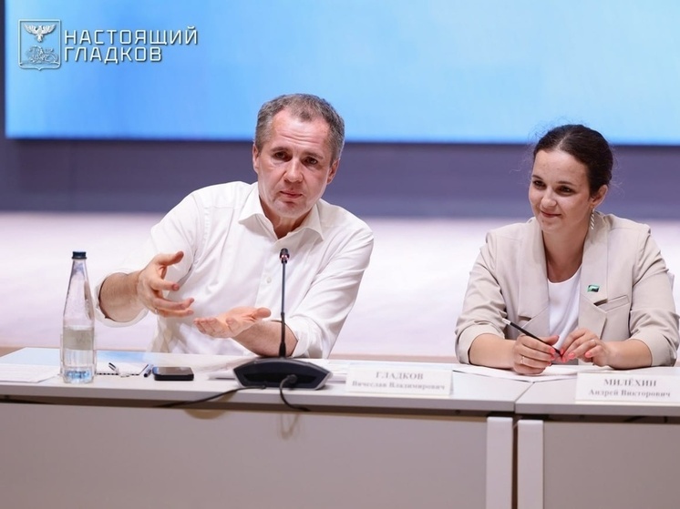 Вячеслав Гладков встретился с педагогами школы «Большая медведица»