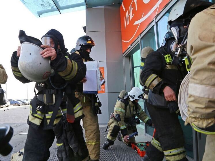 В Уфе спасатели достали из радиатора летучую мышь