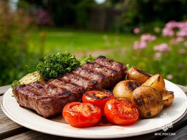 Псковичам напомнили правила безопасности во время приготовления шашлыка