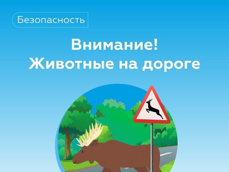 Якутия славится богатой природой и разнообразной фауной