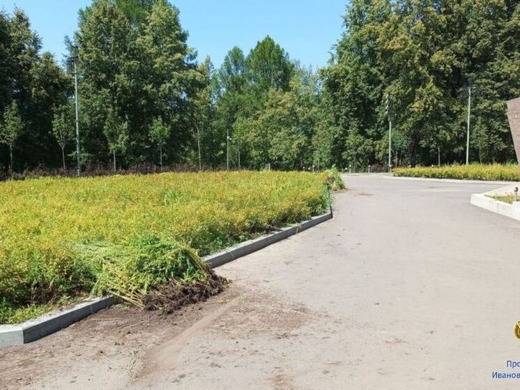 В Иванове благоустроили мемориал «Красная Талка»