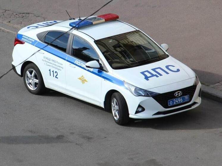 На Мурманском шоссе у Разметелево нашли тело мертвого велосипедиста