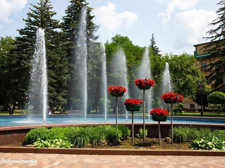 Мэр Ставрополя поделился в соцсетях видами цветущих городских улиц