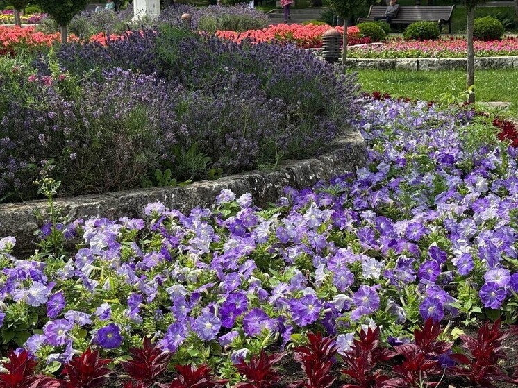 Флористы-любители Ингушетии соревнуются за победу на республиканском «Фестивале цветов»