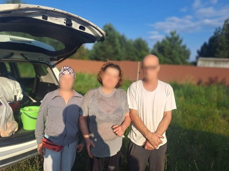 В Рязанской области полицейские и волонтёры спасли троих заблудившихся в лесу
