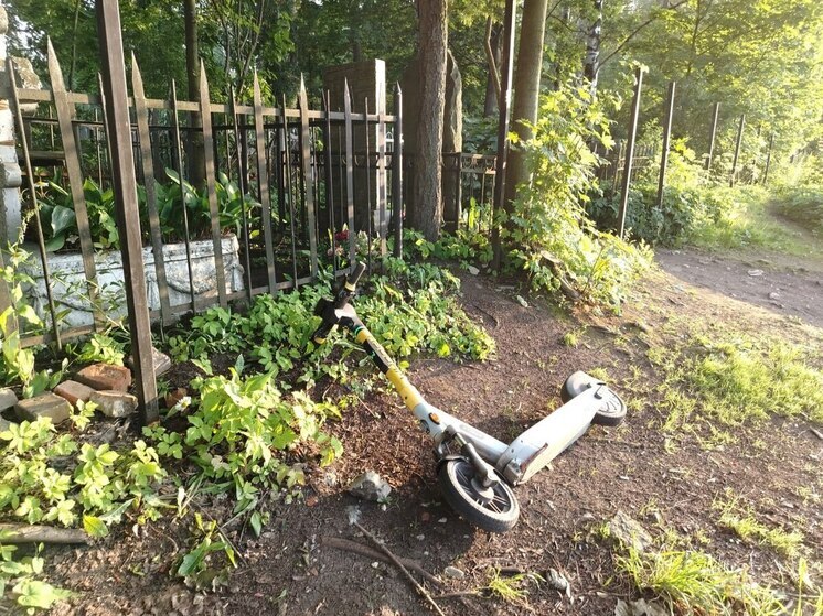 В Калининграде до конца года появится еще 200 разметок для парковки самокатов