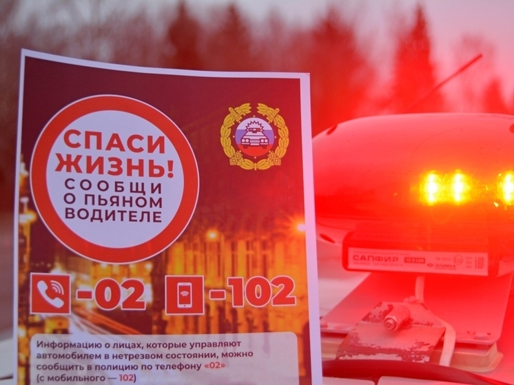 Смоленские Госавтоинспекторы поймали двух пьяных водителей