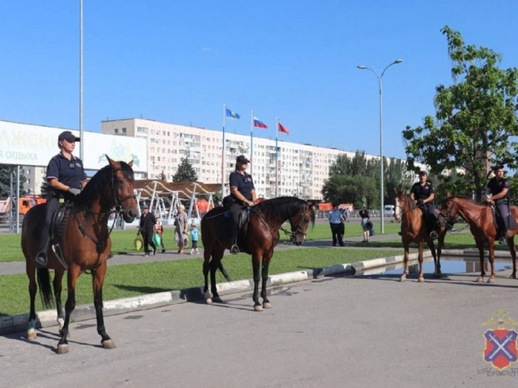 Полицейские охраняют общественный порядок в День города в Волжском