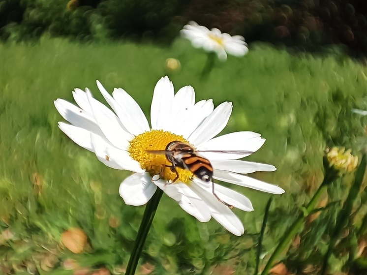 Свердловский июль станет самым холодным за восемь лет