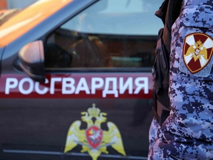 Северянке почти удалось вынести товары из магазина, но на выходе ее остановила Росгвардия