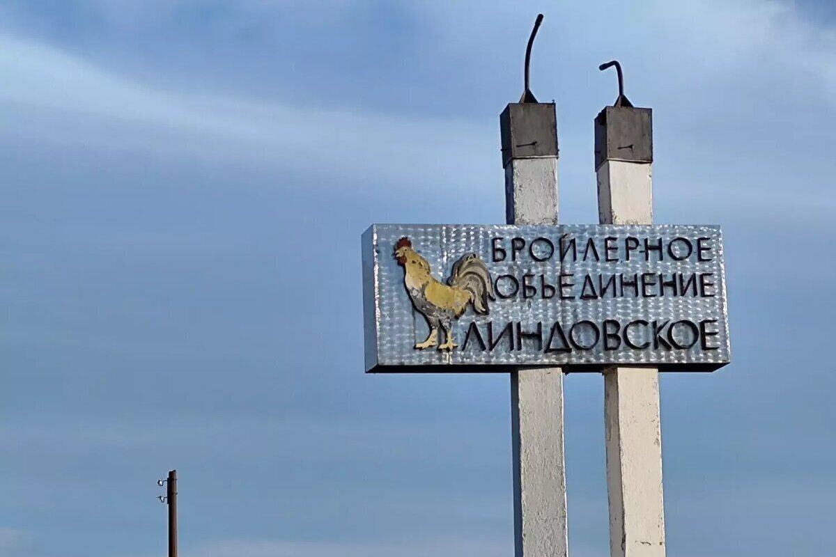 На Линдовской птицефабрике с мая не платят зарплату — заведено уголовное дело
