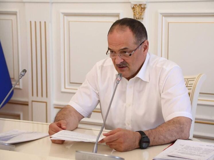 Меликов призвал власти Дагестана усилить контроль за энергетическим комплексом региона
