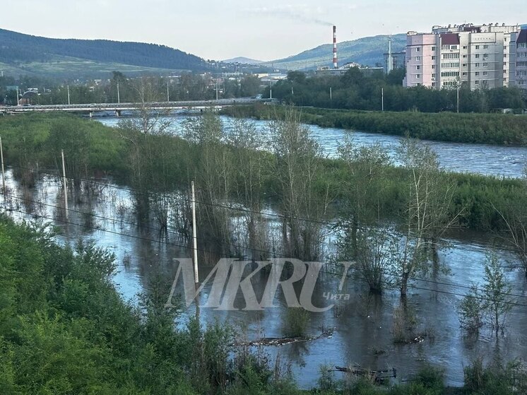 В мэрии назвали адекватным уровень воды в Читинке и Ингоде