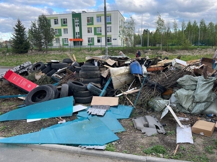 Петрозаводчане не хотят быть Плюшкиными
