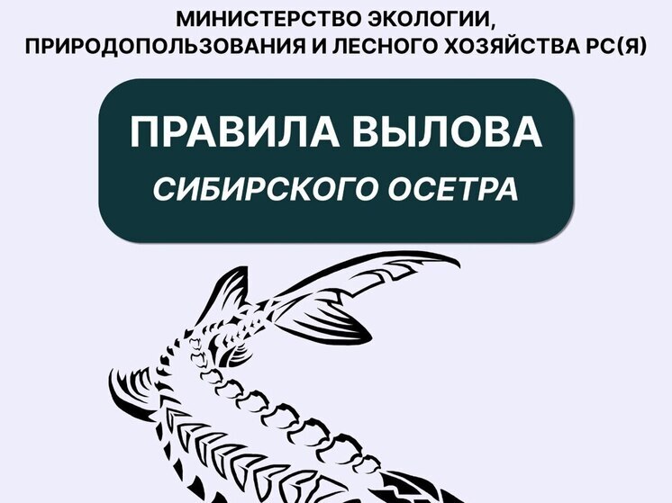 Для вашего удобства опубликована памятка по порядку осуществления любительского рыболовства на сибирского осетра в Республике Саха (Якутия)
