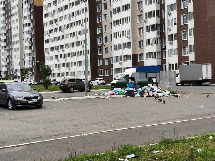 В одном из жилых комплексов Оренбурга не убирают площадки для мусора