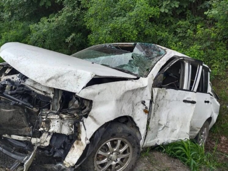 На трассе в Приморье в кювет улетела иномарка с детьми: пострадали пять человек