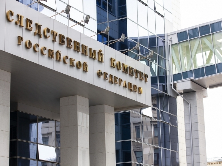 СК заинтересовался судьбой людей из аварийного дома в Липецкой области