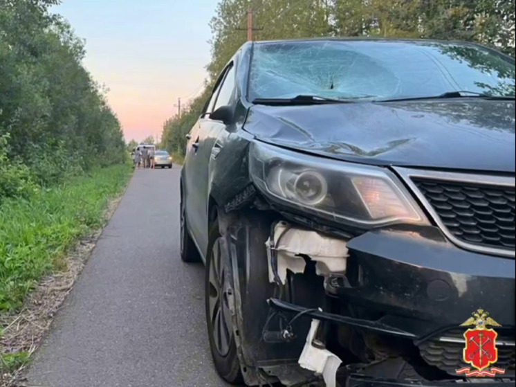 В Лужском районе на обочине дороги машина сбила ребенка