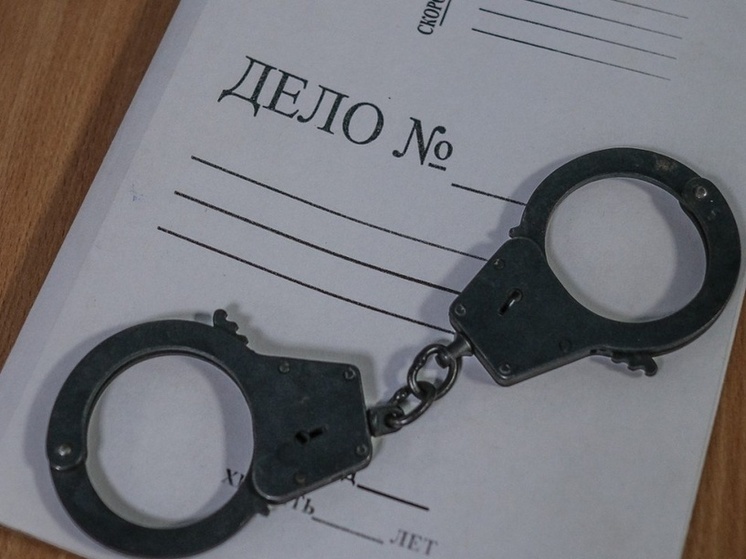 В Мелитопольском районе раскрыта кража мобильного телефона