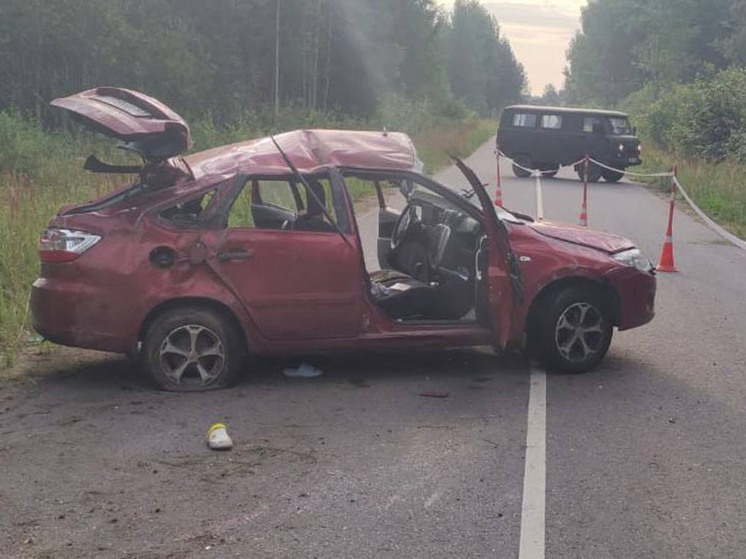 Две 18-летние пассажирки «Лады Гранты» погибли в Крестецком округе
