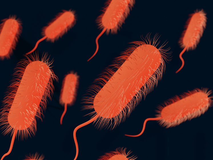 Учёные бьют тревогу: бактерии-мутанты убили уже 600 тыс. человек