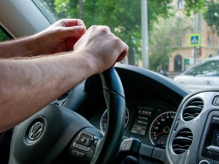 Псковичам советуют не оставлять животных в автомобиле и быть внимательными в жару