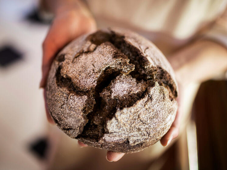 Почему нельзя хранить хлеб в пакете: вот что говорят эксперты Роспотребнадзора - запомните это раз и навсегда