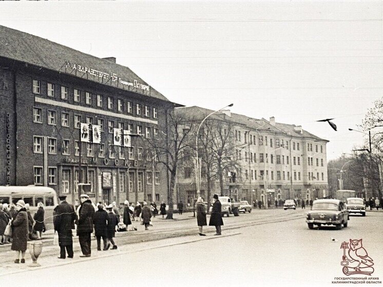 Калининградcкий госархив напомнил вид проспекта Мира в 1962 году