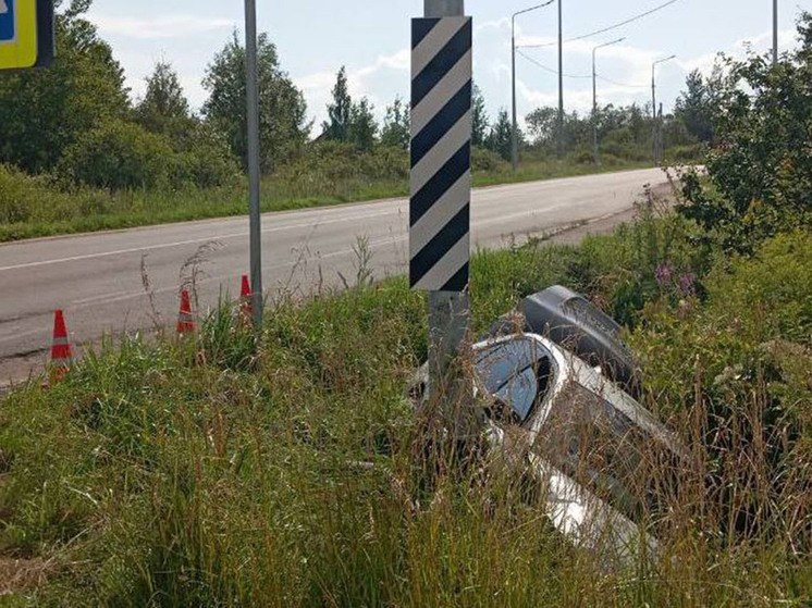 В Новгородском округе два человека пострадали при встрече иномарки со столбом