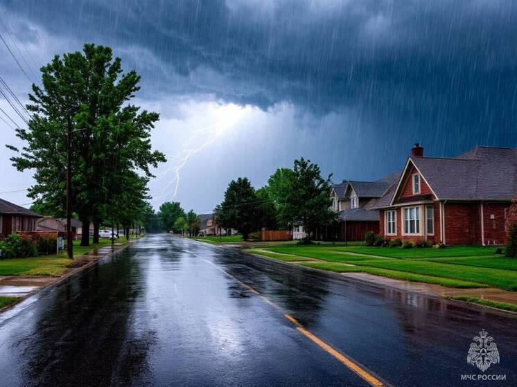 Грозы ожидаются в южных районах Псковской области сегодня