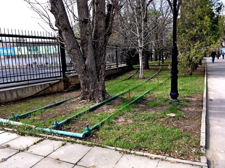 Жара повысила в Саратовской области пожарную опасность до чрезвычайного уровня