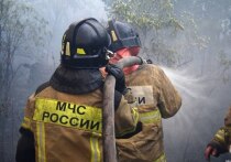 28 июля 2025 года в 07:13 в Красноглинском районе Самары на острове Зелененький произошло возгорание сухой травы