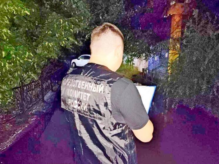 В воронежской Россоши в результате драки погиб человек