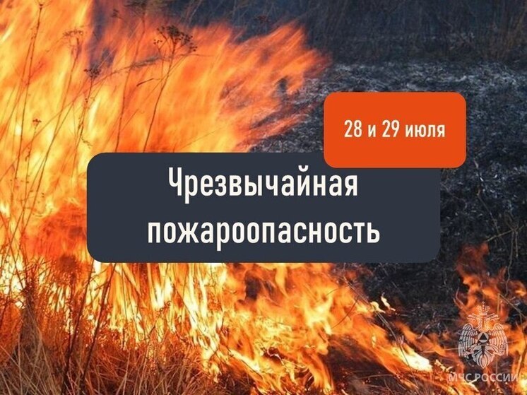 В Херсонской области из-за аномальной жары объявлена чрезвычайная пожароопасность