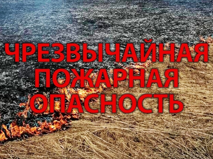 В Ростовской области объявили штормовое предупреждение до 29 июля
