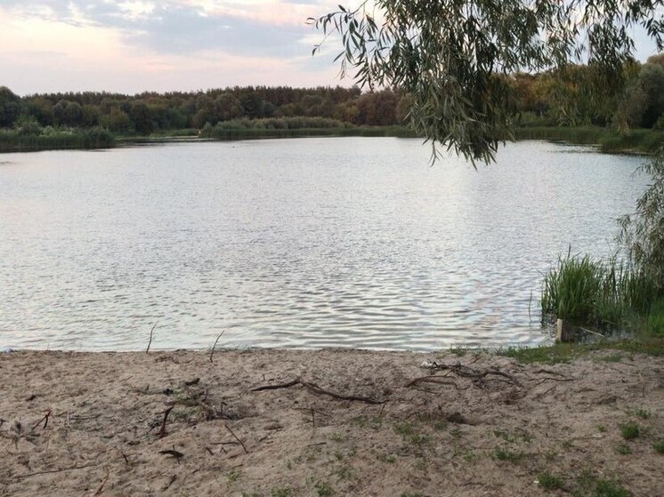 Труп мужчины вытащили из Воронежской Усманки в Боровом