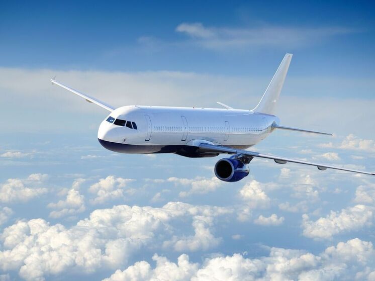 Пассажир рейса Томск-Москва осужден за дебош на борту