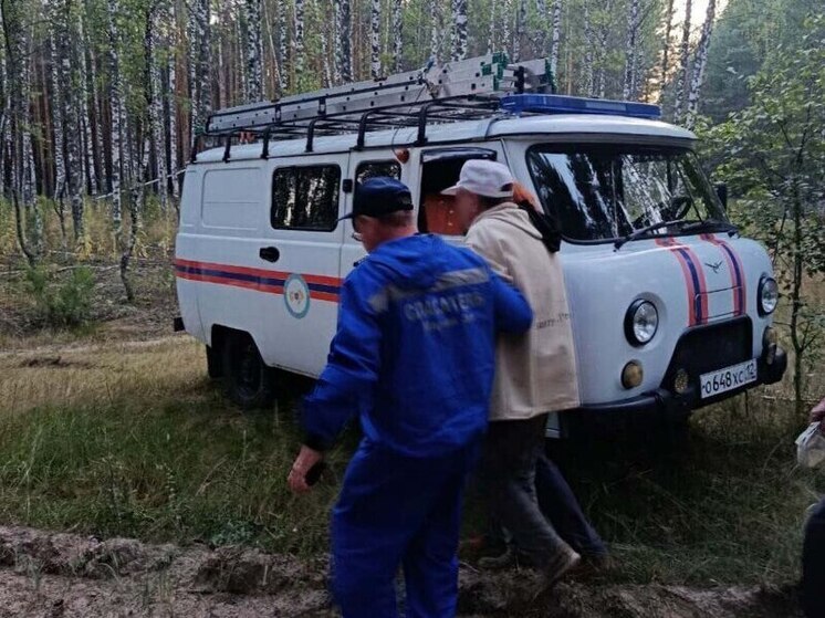 В лесу у озера Яльчик пропали сразу три человека