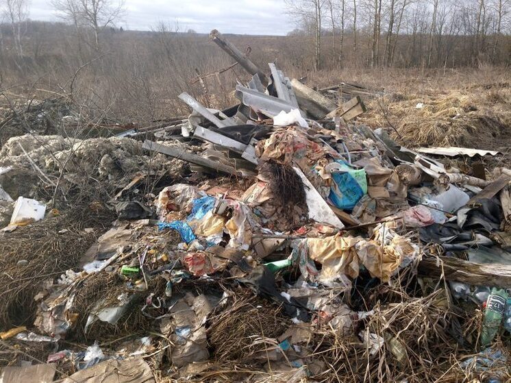 Под Бабынино более двух тысяч квадратных метров сельхозучастка занимала свалка