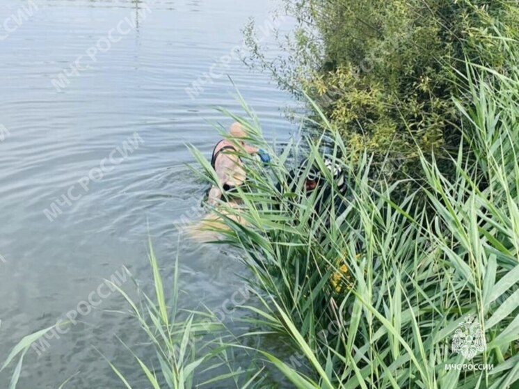 В озере около брянского села Сетолово утонул мужчина